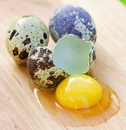 Продам перепелиные яйца по 50 копеек