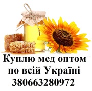Покупаю мед оптом по всей Украине